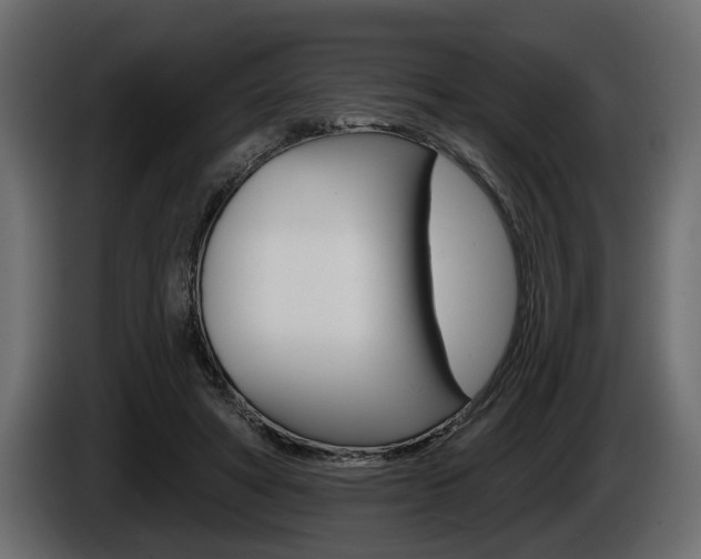 X0000086000402200703230853