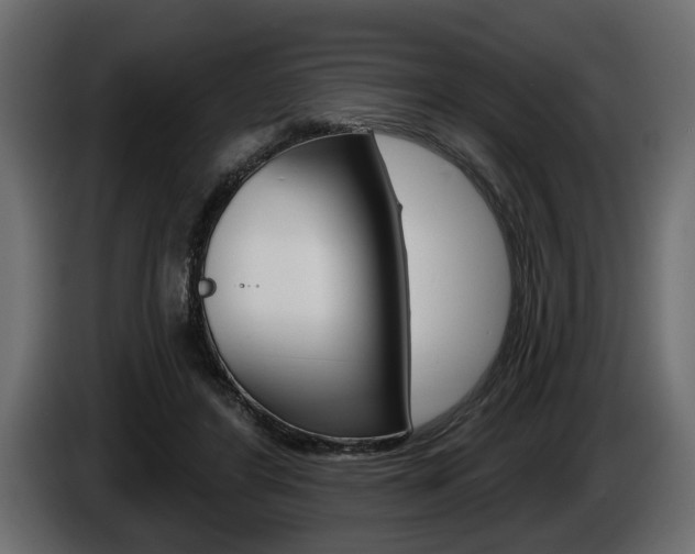 X0000086000404200703230853