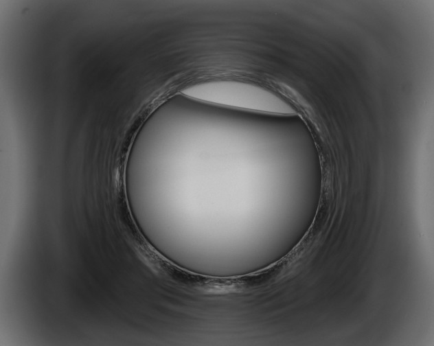 X0000086000405200703230853