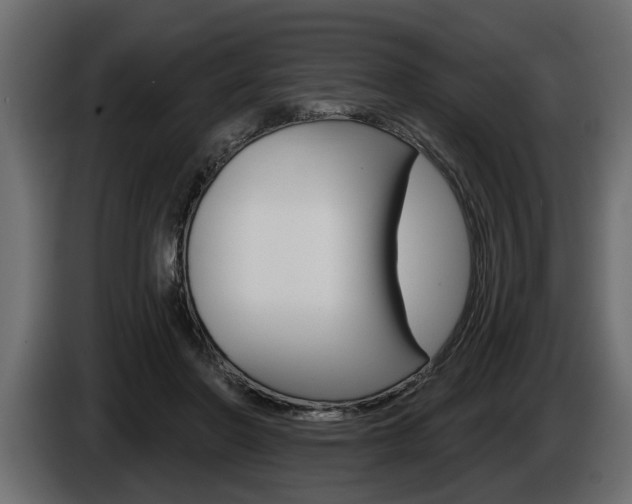 X0000086000406200703230853