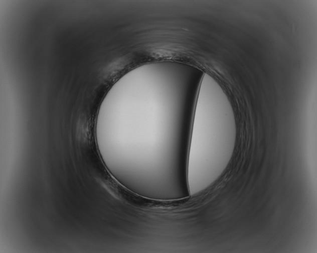 X0000086000408200703230853