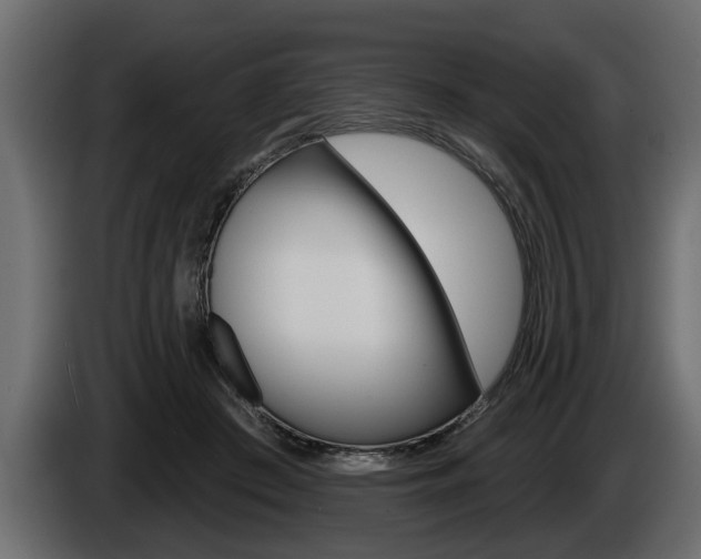 X0000086000409200703230853