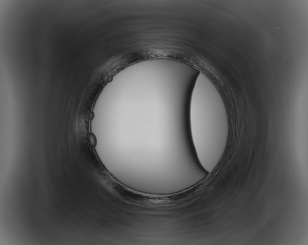 X0000086000410200703230853