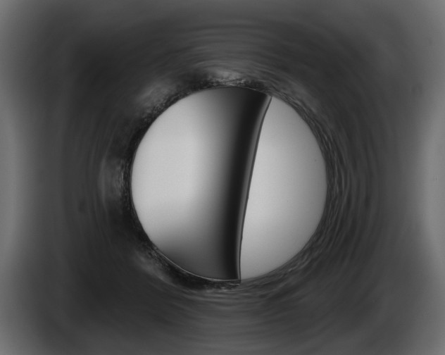 X0000086000412200703230853