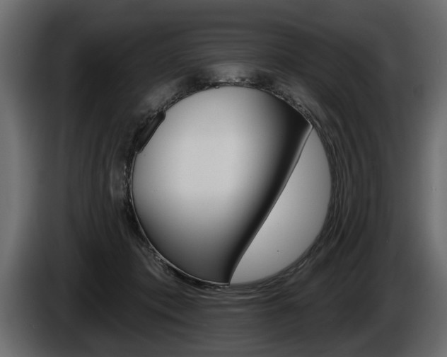 X0000086000413200703230853