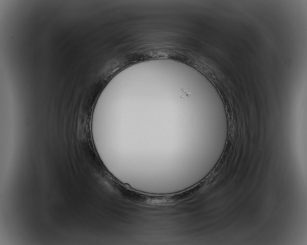 X0000086000414200703230853