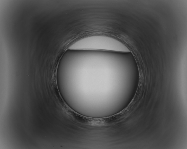 X0000086000415200703230853
