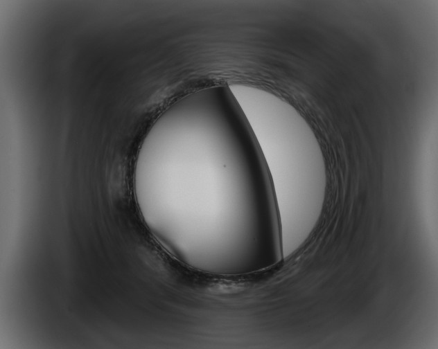 X0000086000416200703230853