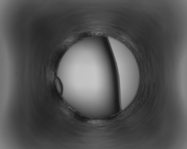X0000086000417200703230853