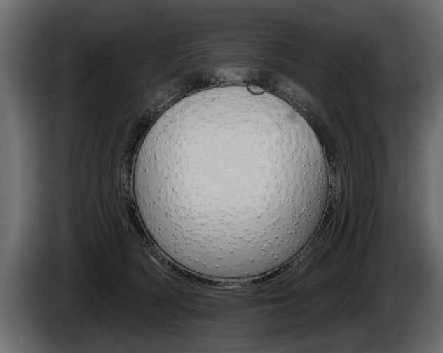 X0000086000418200703230853