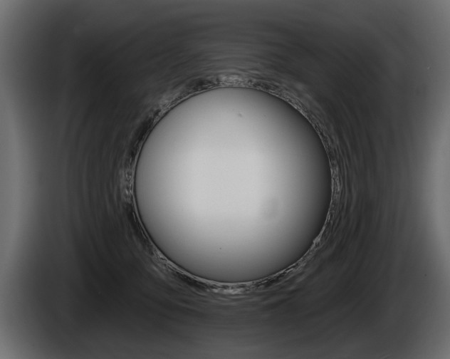 X0000086000419200703230853