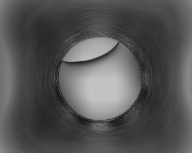 X0000086000422200703230853