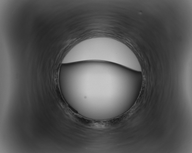 X0000086000423200703230853