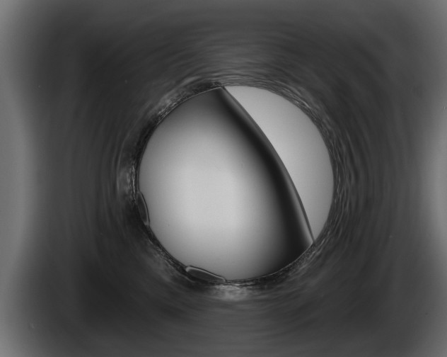 X0000086000425200703230853