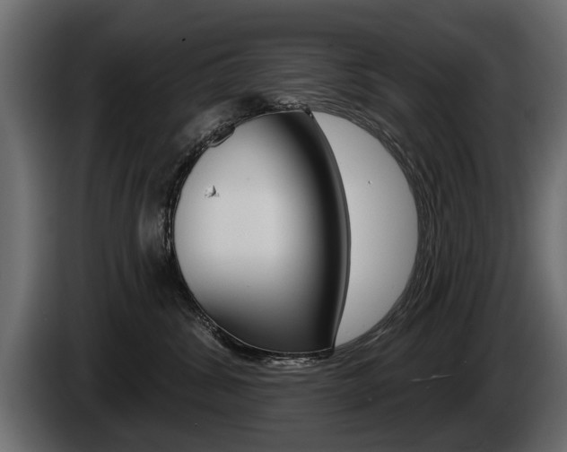 X0000086000428200703230853