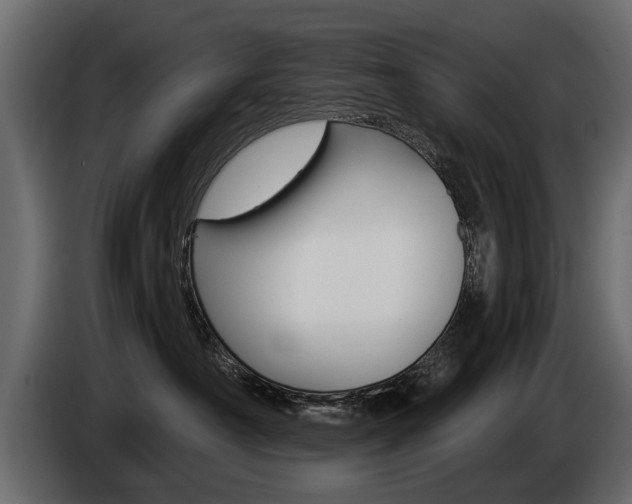 X0000086000430200703230853