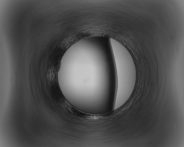 X0000086000432200703230853