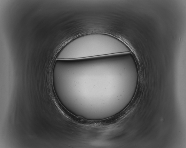 X0000086000433200703230852