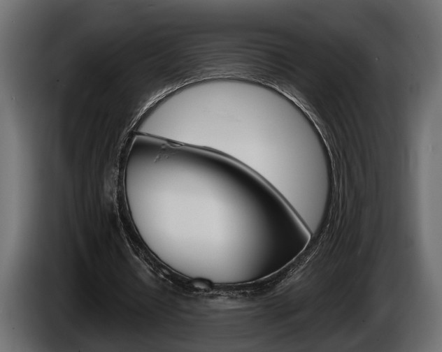 X0000086000434200703230852