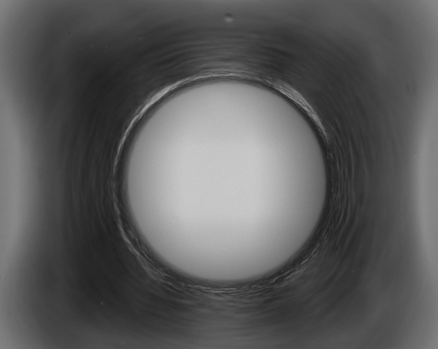 X0000086000436200703230852