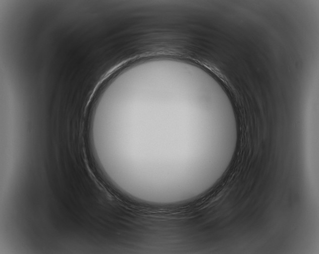 X0000086000440200703230852