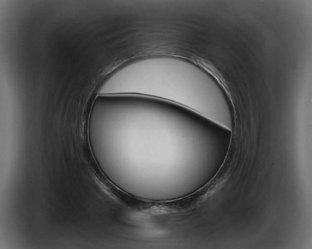 X0000086000441200703230852