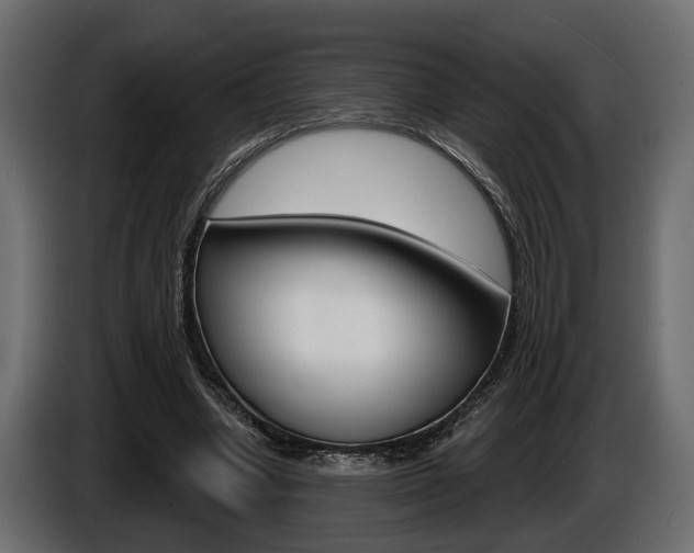 X0000086000442200703230852