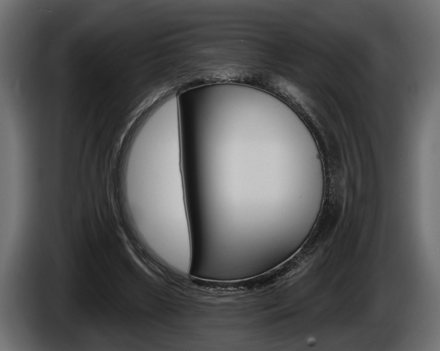 X0000086000443200703230852