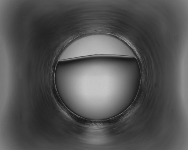 X0000086000445200703230852