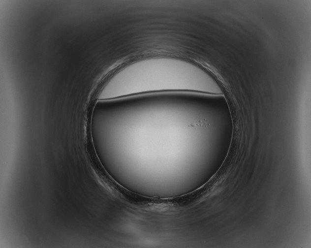 X0000086000446200703230852