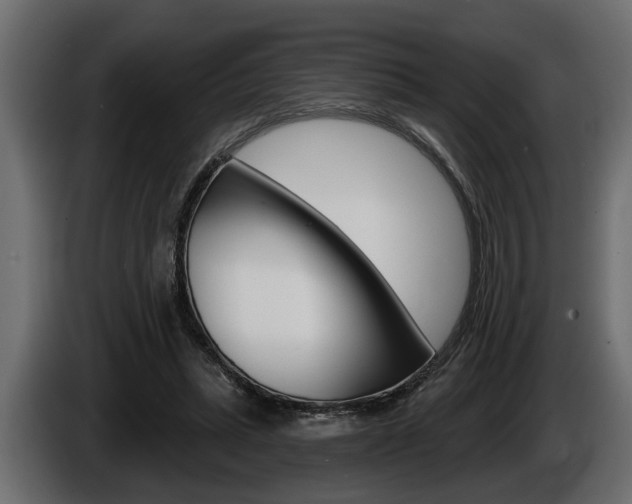 X0000086000447200703230852