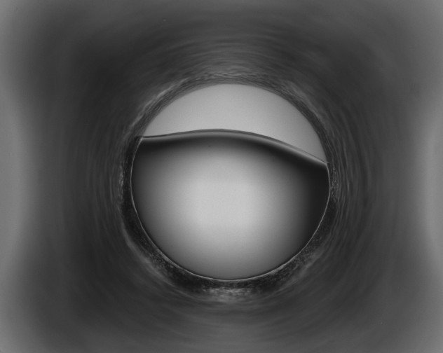 X0000086000448200703230852