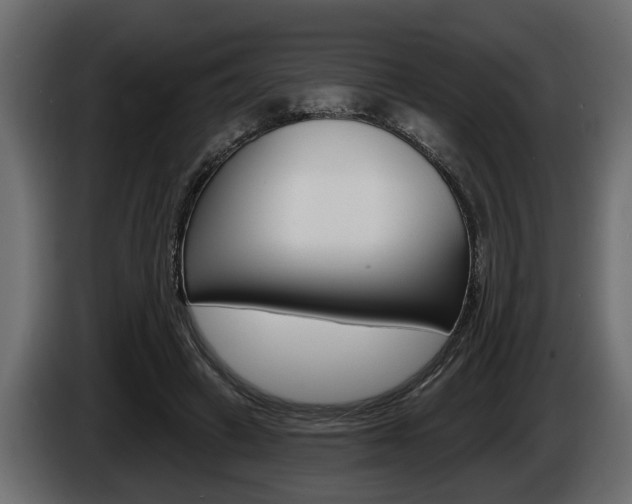 X0000086000449200703230853