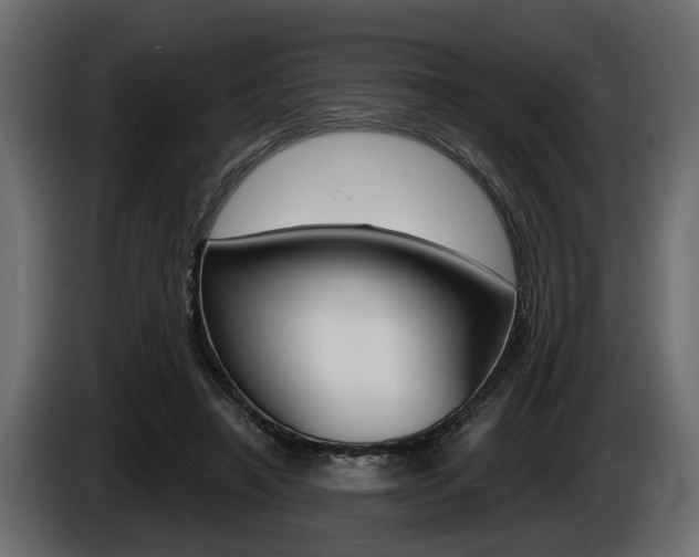 X0000086000450200703230853