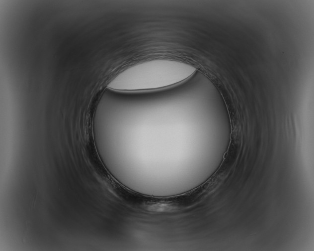 X0000086000460200703230853