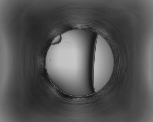 X0000086000461200703230853