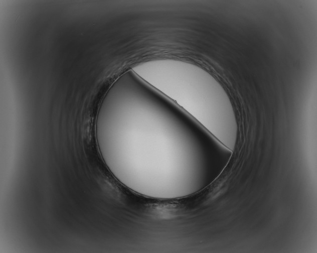 X0000086000462200703230853