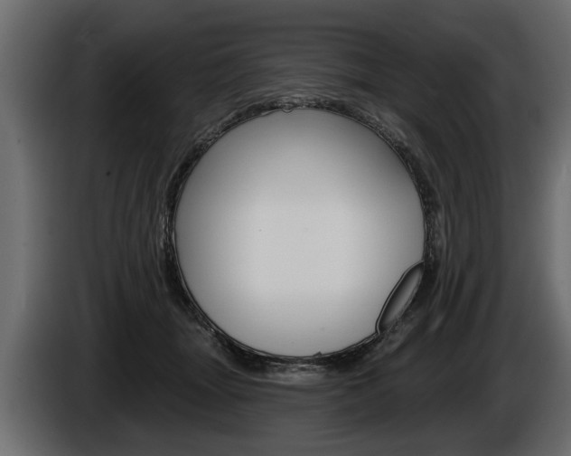 X0000086000463200703230853