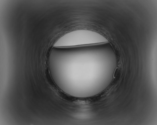X0000086000464200703230853