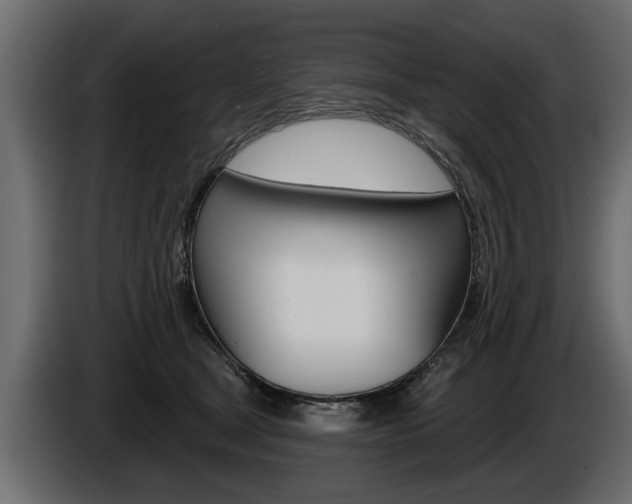 X0000086000465200703230853