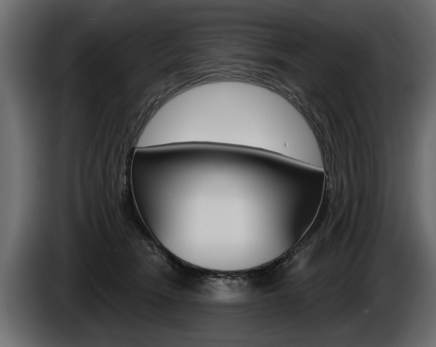 X0000086000466200703230853