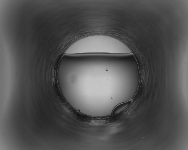X0000086000470200703230853