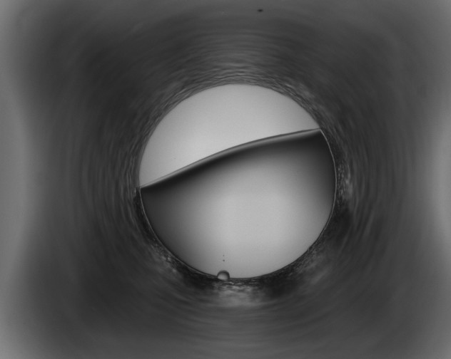 X0000086000471200703230853