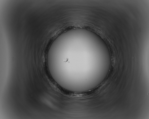 X0000086000472200703230853