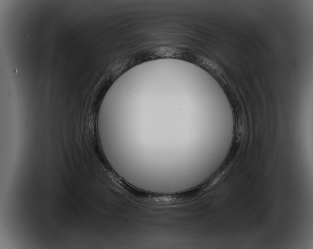 X0000086000473200703230853