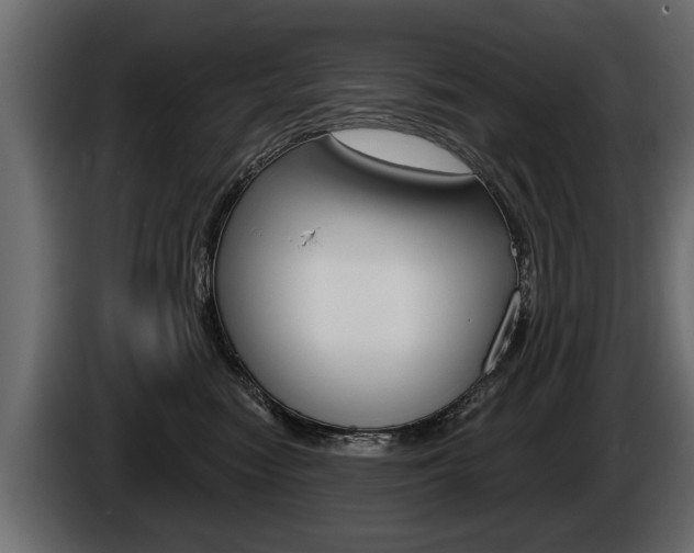 X0000086000474200703230853