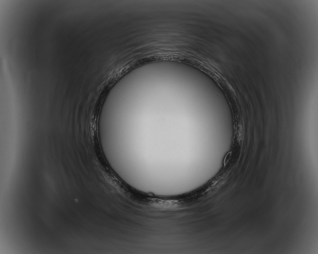 X0000086000476200703230853