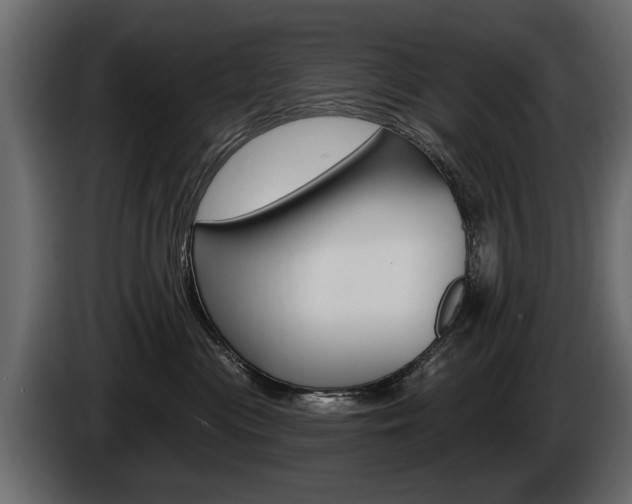 X0000086000477200703230853