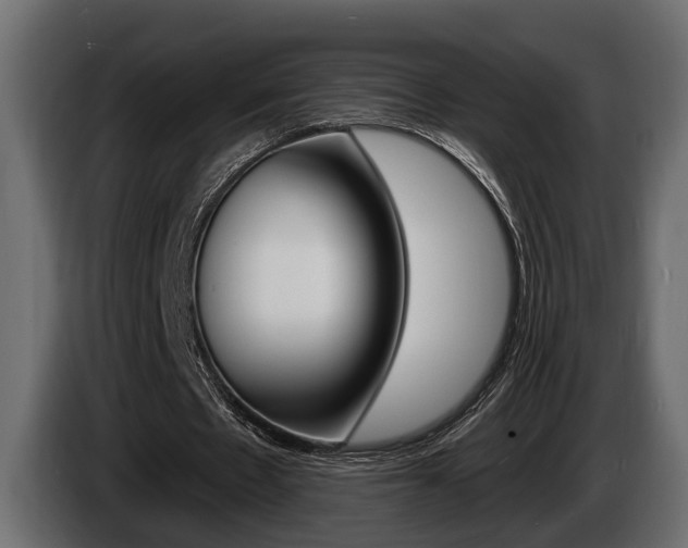 X0000086000481200703230852