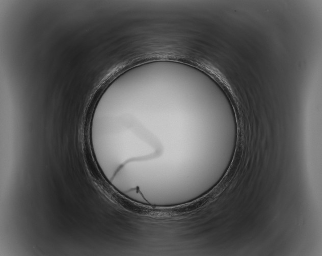 X0000086000482200703230852